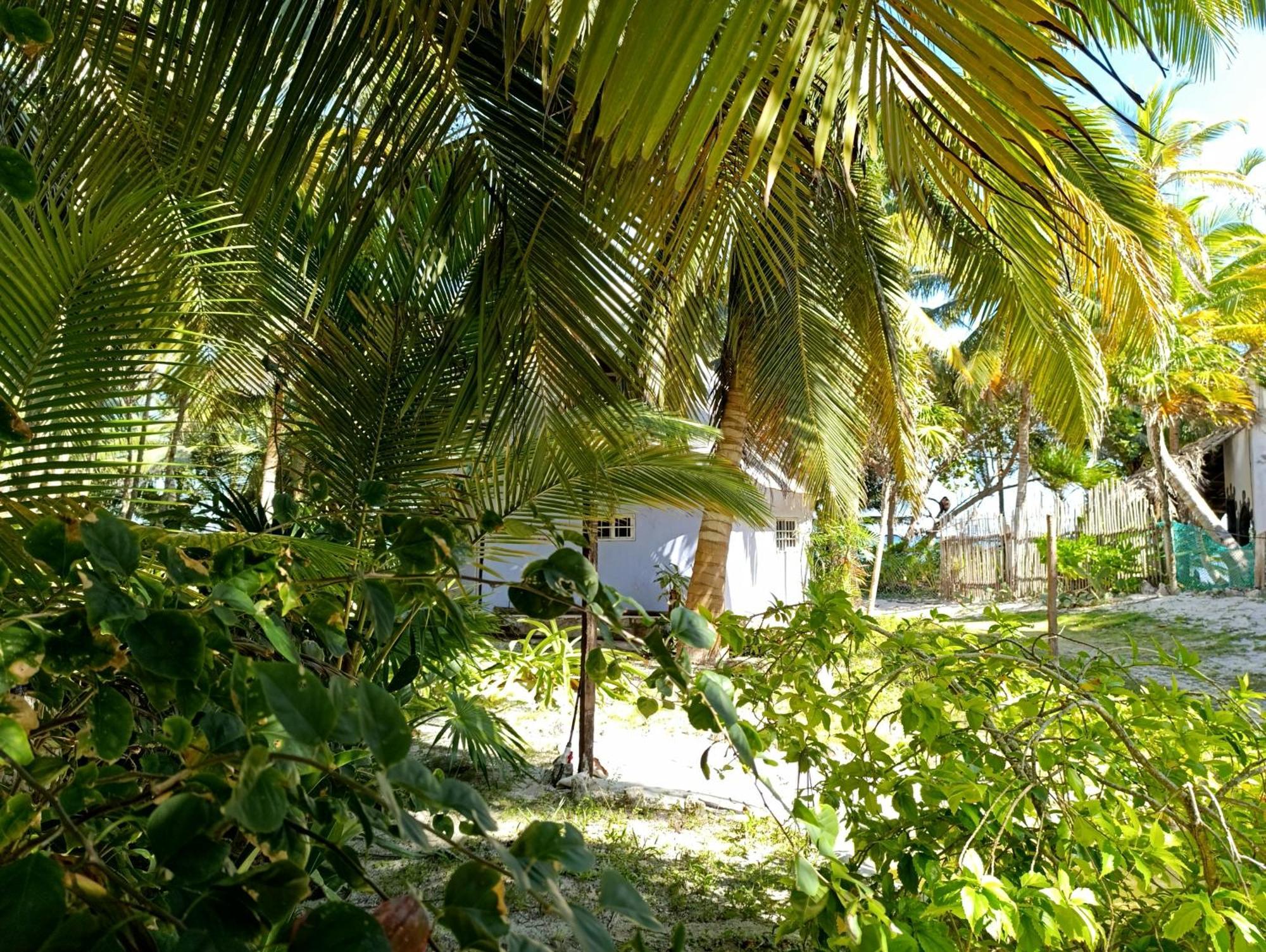 Chez Gigi - Eco Lodge Mahahual Zewnętrze zdjęcie