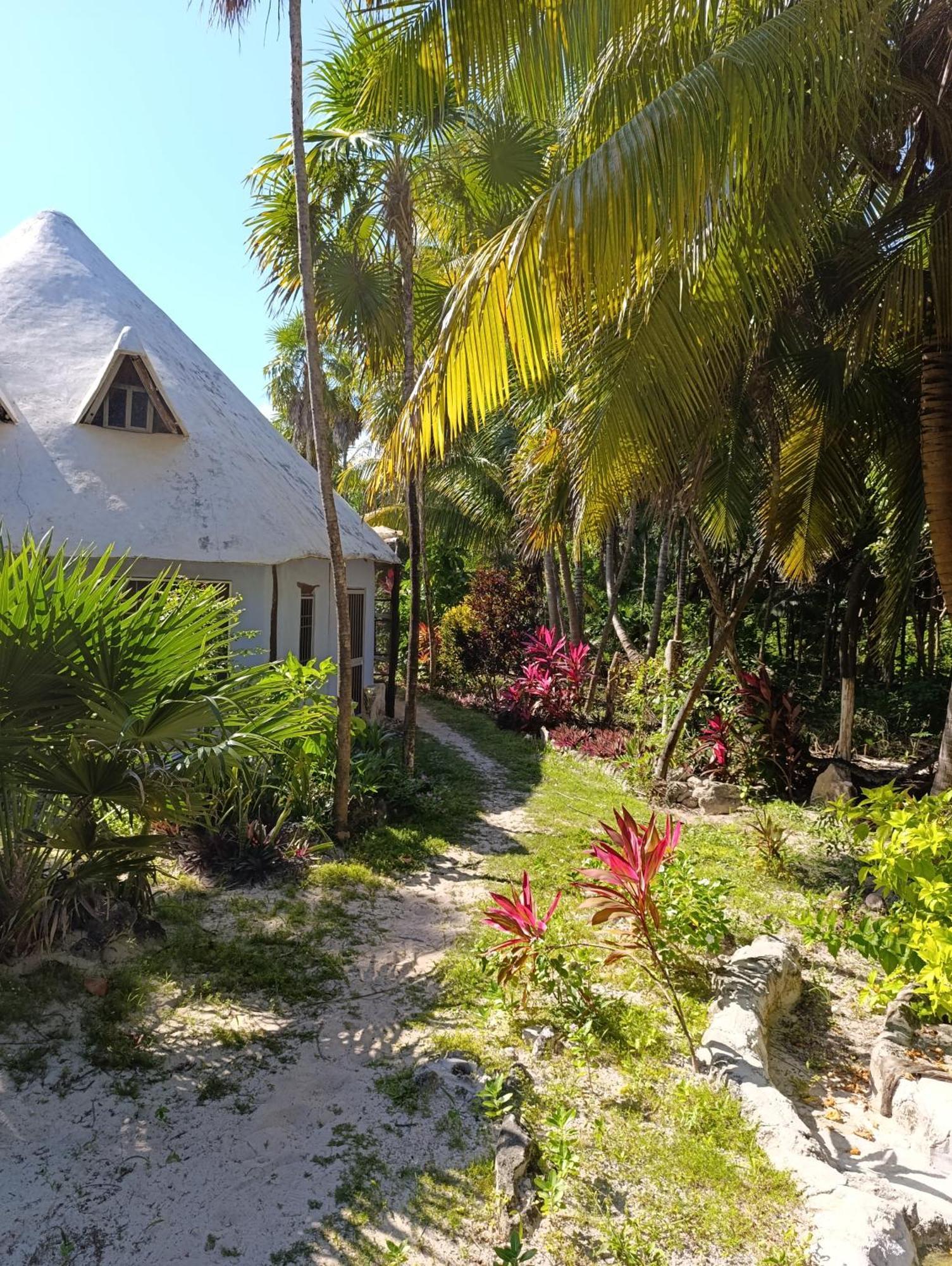 Chez Gigi - Eco Lodge Mahahual Zewnętrze zdjęcie