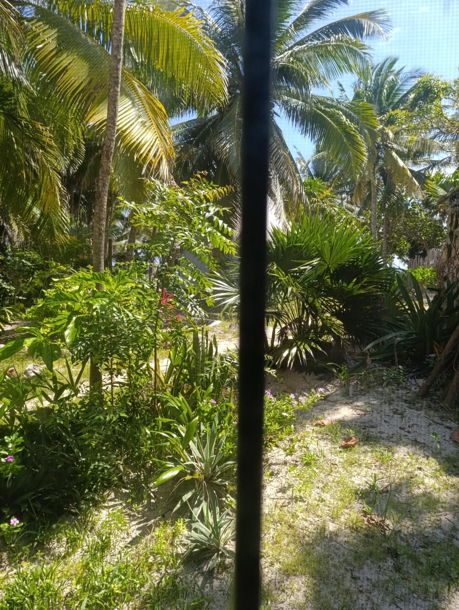 Chez Gigi - Eco Lodge Mahahual Zewnętrze zdjęcie