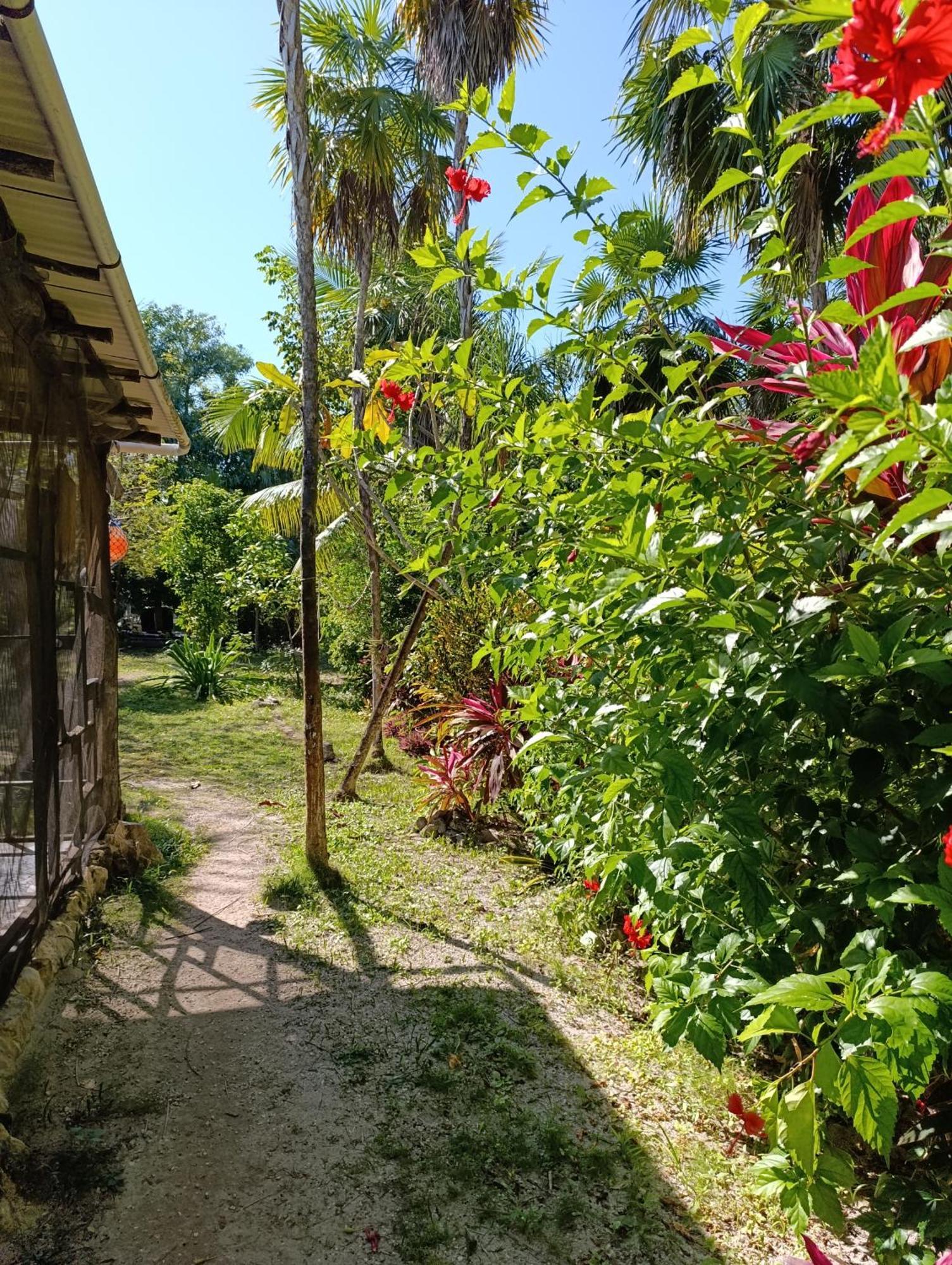 Chez Gigi - Eco Lodge Mahahual Zewnętrze zdjęcie